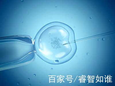 周医生